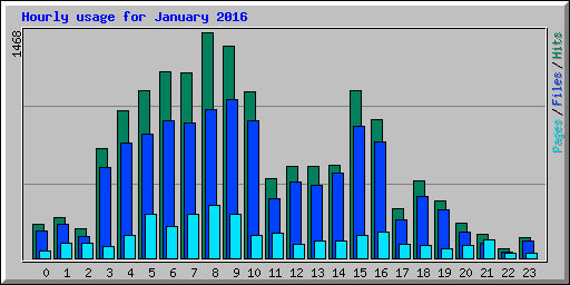 Hourly usage for January 2016
